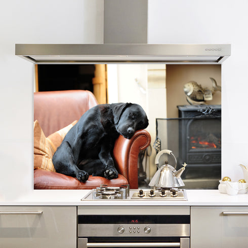 After the Walk Splashback